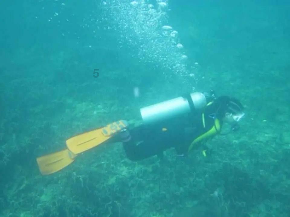 甜美公主的绚丽装扮